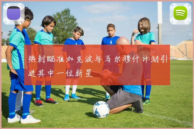 热刺瞄准加克波与马尔穆什计划引进其中一位新星