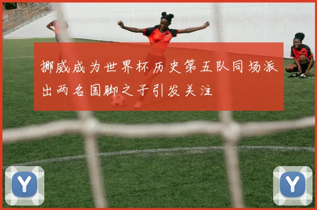 挪威成为世界杯历史第五队同场派出两名国脚之子引发关注