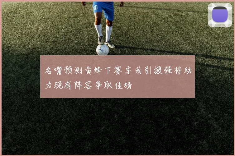 名嘴预测黄蜂下赛季或引援强将助力现有阵容争取佳绩